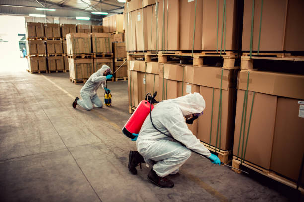 Best Pest Inspection Near Me  in Lake Holm, WA
