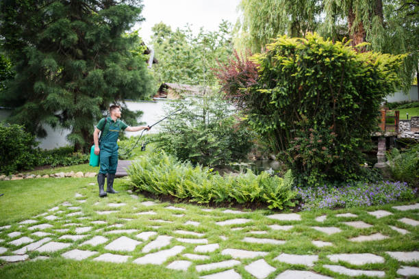 Best Pest Control Near Me  in Lake Holm, WA