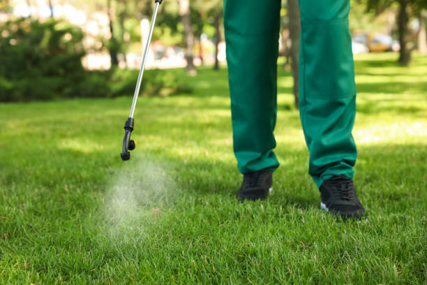 Best Local Pest Control Services  in Lake Holm, WA