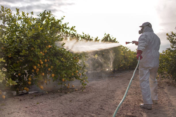 Best Pest Removal Services  in Lake Holm, WA