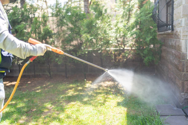 Best Emergency Pest Control  in Lake Holm, WA