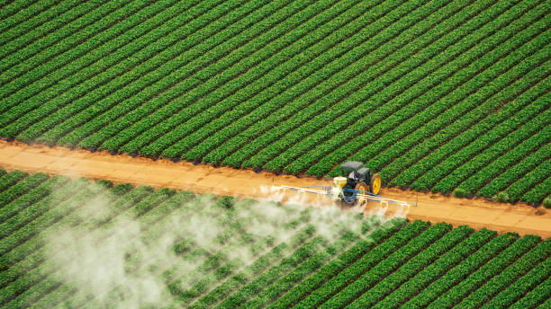 Best Mosquito Control Services  in Lake Holm, WA