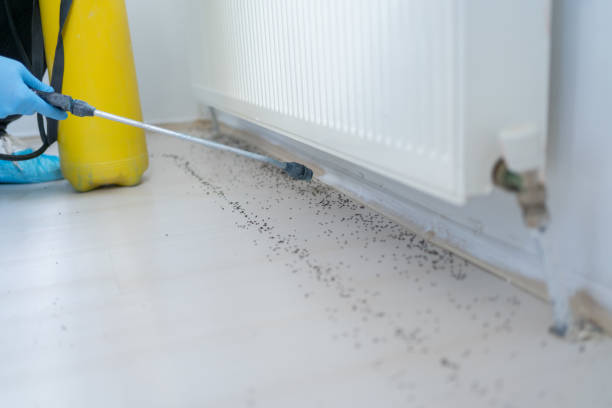 Best Residential Pest Control  in Lake Holm, WA